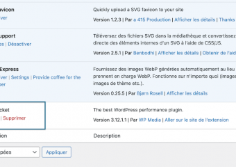 04/36 - Nous désactivons WP Rocket en vue de le supprimer entièrement du site, pour le remplacer par une alternative gratuite, PageSpeed Modules.