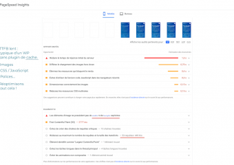 08/36 - La suite de l'audit PageSpeed présente une série d'Opportunités d'optimisations. Elles concernent notamment un “TTFB lent” (typique sans plugin de “file cache”) et un manque d'optimisation des Assets (CSS/JS/Fonts…). À noter, 53 requêtes et 449 ko de transfert.