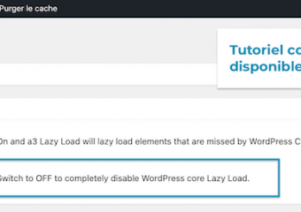 15/36 - Activons donc ce plugin minimaliste qui ne gérera “que” le Lazy Load. C'est le bon moment de vérifier les options avancées de ce plugin. Plus de conseils sont données dans notre tutoriel « Mod PageSpeed », disponible sur le blog EasyHoster.