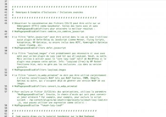 19/36 - Nous avons écrit un fichier .htaccess de base pour aider les utilisateurs EasyHoster à configurer PageSpeed Modules (dispo sur notre blog). Il contient des conseils, commentaires et “directives” à copier pour de bons résultats sur PageSpeed sans détériorer le site.