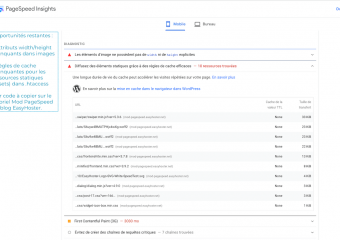 21/36 - Nous cherchons à tirer le maximum de PageSpeed Modules, en le complétant par des solutions open source ou du code perso, lorsque cela s'avère plus efficace. C'est ce que nous allons faire pour les opportunités restantes, en commençant par les width/height manquants dans les images.