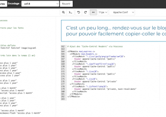 26/36 - L'idée ici est de réincorporer manuellement des règles htaccess similaires à celles de WP Rocket. Celles ayant été nettoyées du htaccess manuellement, au début du test. Rejoignez le tutoriel EasyHoster “Mod PageSpeed”, pour pouvoir copier-coller ce code source.