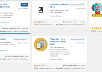 29/36 - Une analyse de Network Waterfall (via Chrome, voir notre tutoriel), démontre que des fichiers .js sont chargés avec le HTML/CSS. La dernière carte “simple” à jouer pour réduire les ressources est de “Différer” (et si possible “Retarder“) le JavaScript et son exécution.