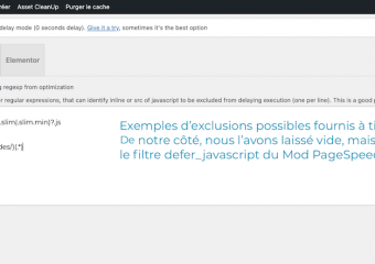 31/36 - Comme illustré sur la capture d'écran, des Exclusions peuvent être ajoutées à WP Meteor, comme cela peut se faire via WP Rocket. Il s'agit ici d'un exemple, à titre d'information. Notre site de test est parfaitement compatible WP Meteor, sans ajouter d'exclusion (champ vide).